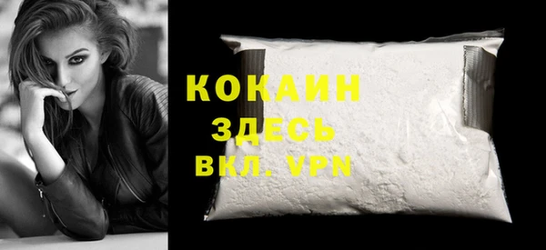 прущие грибы Осинники