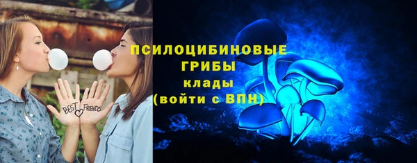прущие грибы Осинники